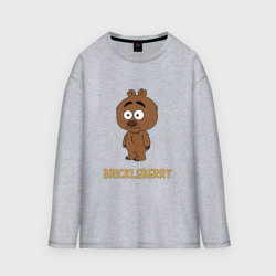 Мужской лонгслив oversize хлопок Malloy Brickleberry