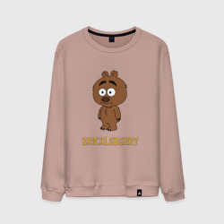 Мужской свитшот хлопок Malloy Brickleberry