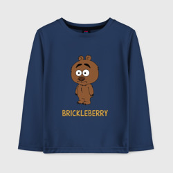 Детский лонгслив хлопок Malloy Brickleberry