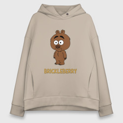 Женское худи Oversize хлопок Malloy Brickleberry