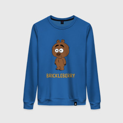 Женский свитшот хлопок Malloy Brickleberry