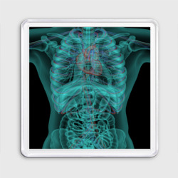 Магнит 55*55 Рентген человека
