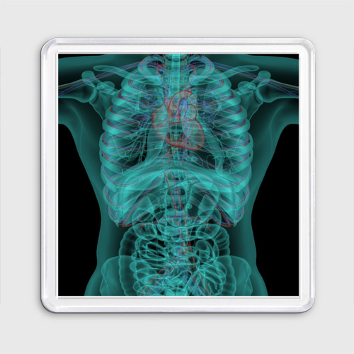 Магнит 55*55 Рентген человека