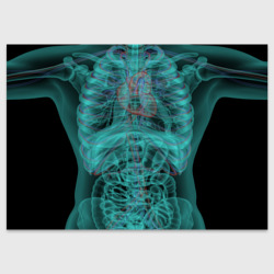Поздравительная открытка Рентген человека