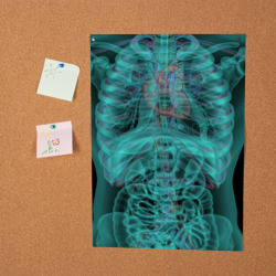 Постер Рентген человека - фото 2