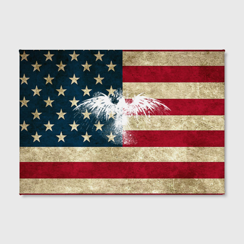 Холст прямоугольный Флаг США с белым орлом, цвет 3D печать - фото 2