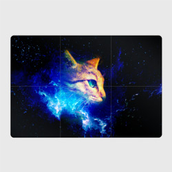 Магнитный плакат 3Х2 Звездный кот