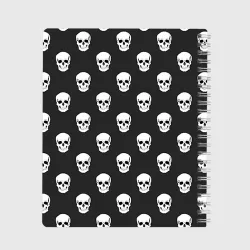 Тетрадь Черепа - фото 2