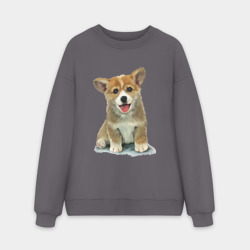 Мужской свитшот oversize без начеса хлопок Коржик