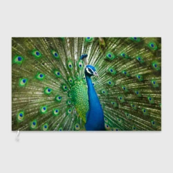 Флаг 3D Павлин