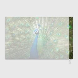 Флаг 3D Павлин - фото 2