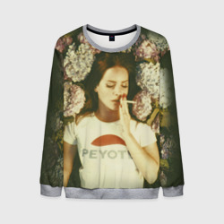 Мужской свитшот 3D Lana Del Rey