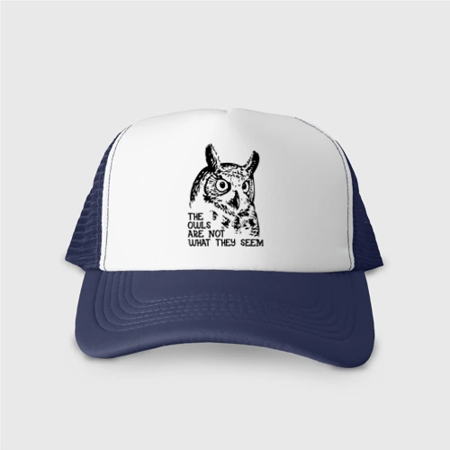Кепка тракер с сеткой Twin Peaks Owl