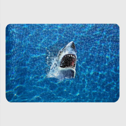 Картхолдер с принтом Пасть акулы - фото 2