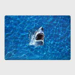 Магнитный плакат 3Х2 Пасть акулы