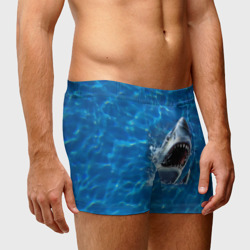 Мужские трусы 3D Пасть акулы - фото 2