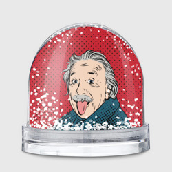 Игрушка Снежный шар Pop art физик