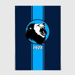 Постер Сила льва