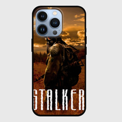 Чехол для iPhone 13 Pro Stalker