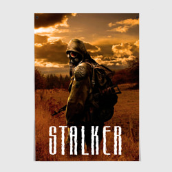 Постер Stalker