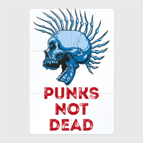 Магнитный плакат 2Х3 Punks not dead