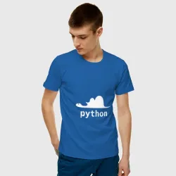 Питон - язык программирования