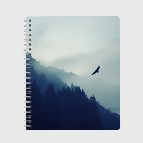Тетрадь Орёл над лесом eagle over the forest