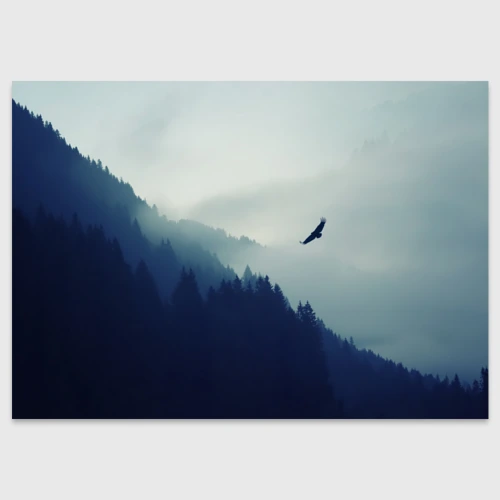 Поздравительная открытка Орёл над лесом eagle over the forest