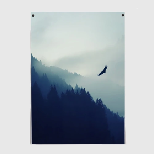 Постер Орёл над лесом eagle over the forest