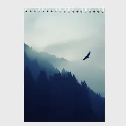Скетчбук Орёл над лесом eagle over the forest