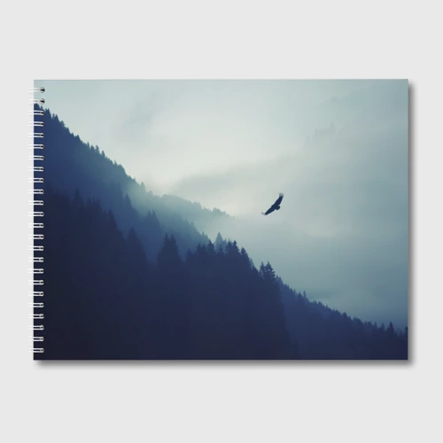 Альбом для рисования Орёл над лесом eagle over the forest