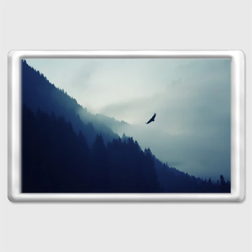 Магнит 45*70 Орёл над лесом eagle over the forest
