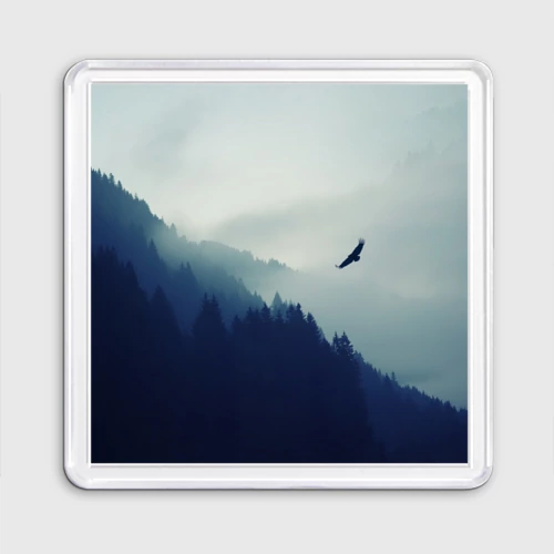 Магнит 55*55 Орёл над лесом eagle over the forest