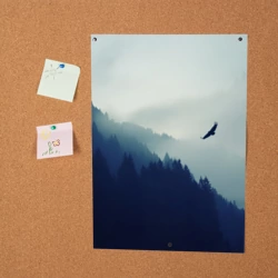 Постер Орёл над лесом eagle over the forest - фото 2