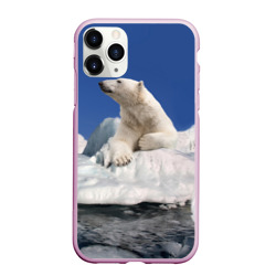 Чехол для iPhone 11 Pro Max матовый Арктика