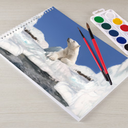 Альбом для рисования Арктика - фото 2