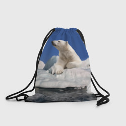 Рюкзак-мешок 3D Арктика