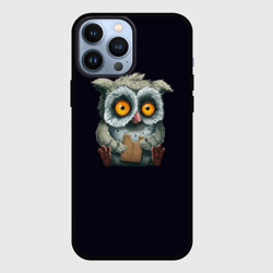 Чехол для iPhone 13 Pro Max Сова с Печенькой