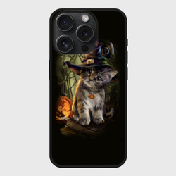 Чехол силиконовый для Apple iPhone 15 Pro Мax матовый Ведьмин котенок