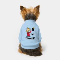 Свитшот для собак хлопок Я тут главный - фото 2