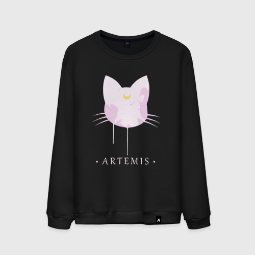 Мужской свитшот хлопок Artemis cat, цвет черный