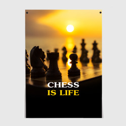 Постер Шахматы - это жизнь