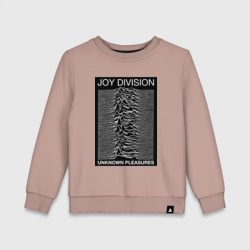 Детский свитшот хлопок Joy Division