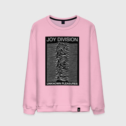 Мужской свитшот хлопок Joy Division