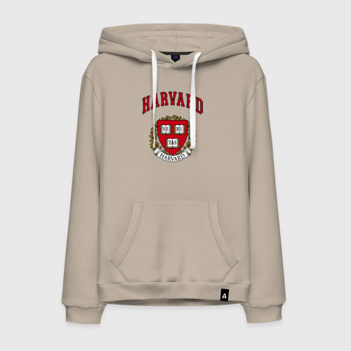 Harvard hoodie h&m shop