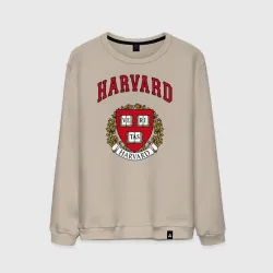 Мужской свитшот хлопок Harvard university