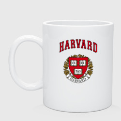 Кружка керамическая Harvard university