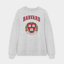 Мужской свитшот oversize без начеса хлопок Harvard university