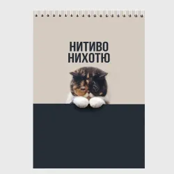 Скетчбук Нитиво Нихотю - котик грустный