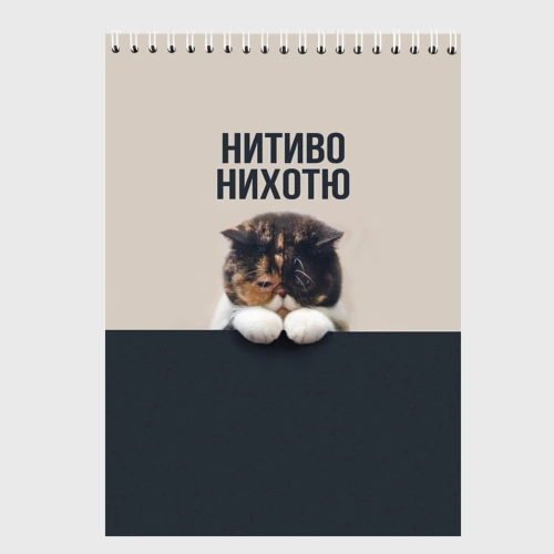 Скетчбук Нитиво Нихотю - котик грустный